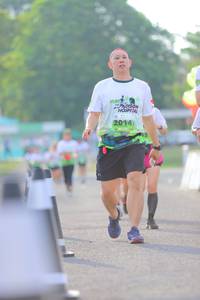 BIB: 2014
                            <button type="button" onclick="openModal(3654177)" class="btn btn-primary btn-sm float-right btn-popup" data-toggle="modal" data-target=".modal-high-quality">
                        <i class="fas fa-shopping-cart"></i> Add to Cart
                    </button>
                                            <button type="button" onclick="isThisMe(3654177, true)" class="btn btn-success btn-sm float-right btn-popup btn-isme hidden" data-toggle="tooltip" data-placement="bottom" title="นี่คือรูปของคุณใช่ไหม คลิกที่นี่เพื่อเอาเข้าอัลบั้ม">
                        <i class="fas fa-plus"></i> Add to album
                    </button>
                    <button type="button" onclick="isThisMe(3654177, false)" class="btn btn-warning btn-sm float-right btn-popup btn-isnotme hidden">
                        <i class="fas fa-ban"></i> Remove from album
                    </button>